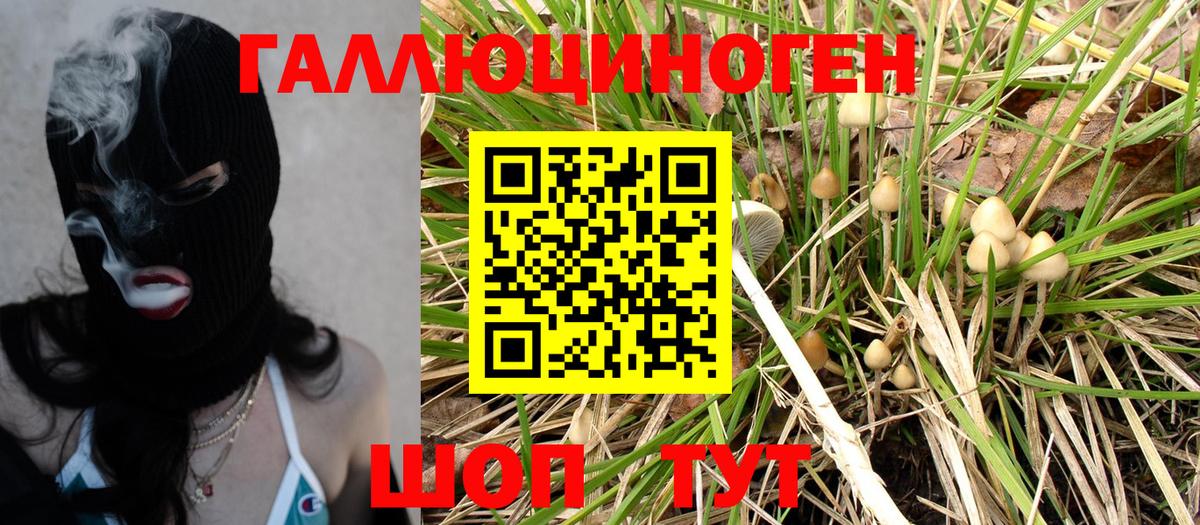 Псилоцибиновые грибы мухоморы Ивантеевка