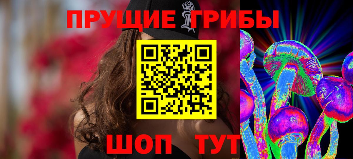 Ивантеевка  Псилоцибиновые грибы Psilocybine cubensis  Вход с VPN 